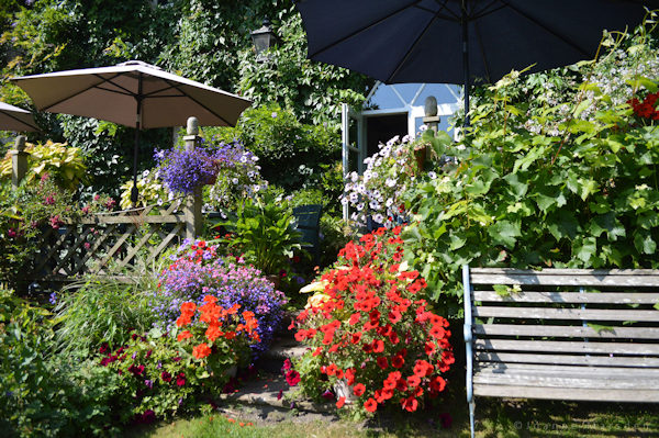Flowers on the terrace at Milebrook House Hotel